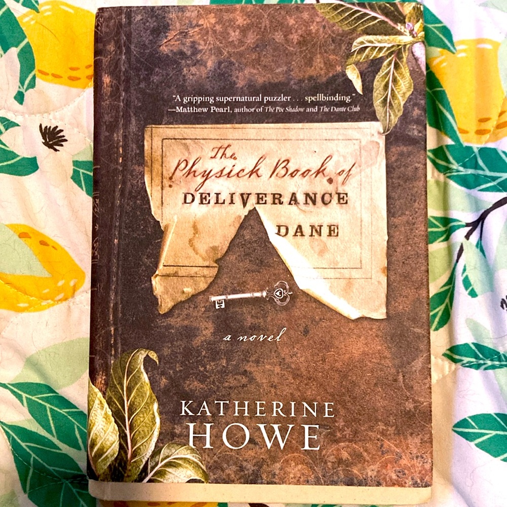 Novel